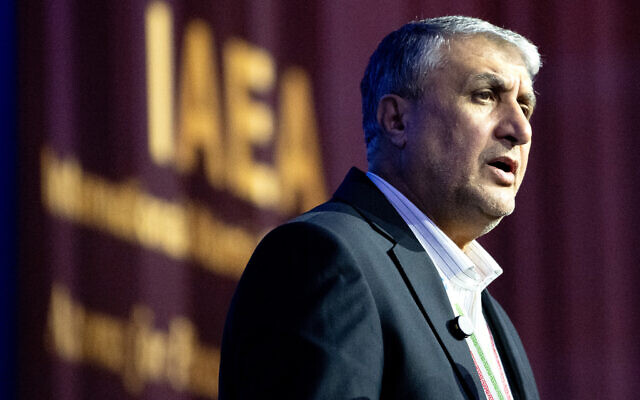 Mohammad Eslami, head of Iran's Atomic Energy Organization, speaks during the 69th regular plenary session of the International Atomic Energy Agency at its headquarters in Vienna, Austria, on September 15, 2025. (Joe Klamar / AFP)
