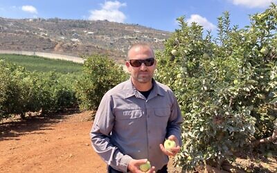 Levav Weinberg, a farmer in Metula, stands in his apple orchard with a view of the border with Lebanon and Kafr Kila, once a Hezbollah stronghold, in the background, on September 18, 2025. (Diana Bletter/Times of Israel)