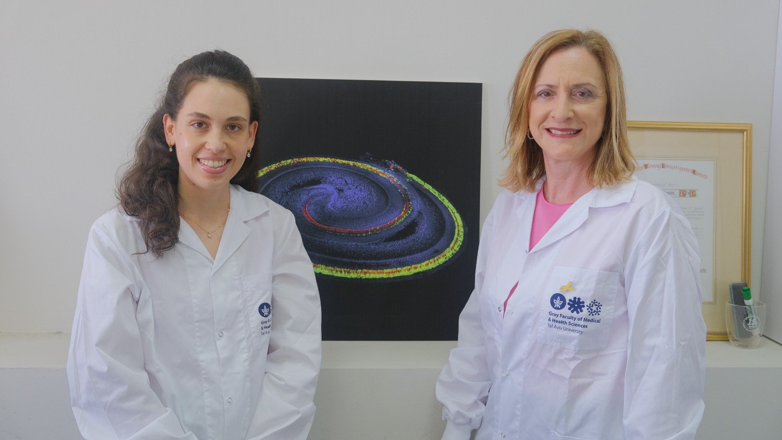 NextImg:Israeli researchers report breakthrough gene therapy for hearing and balance disorders
