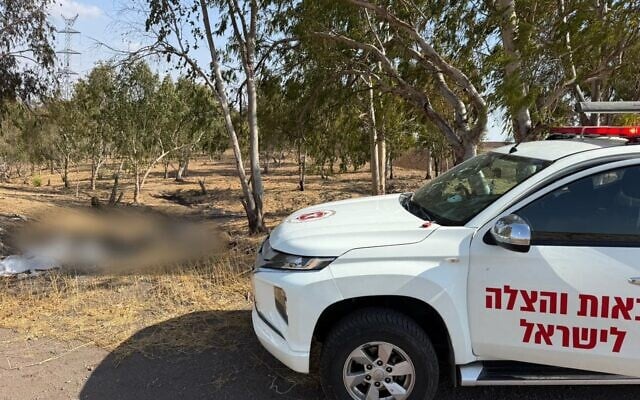 The scene of a brush fire in which a woman's lifeless body was found by firefighters on September 26, 2025. (Fire and Rescue Service)