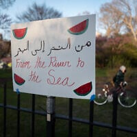 Pro-Palestinian and anti-Israel people rally on the campus of Northwestern University April 25, 2024, in Evanston, Illinois. (Scott Olson/Getty Images via AFP)