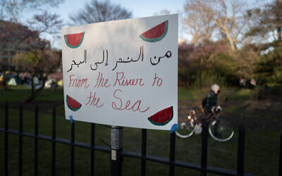 Pro-Palestinian and anti-Israel protesters rally on the campus of Northwestern University April 25, 2024, in Evanston, Illinois. (Scott Olson/Getty Images via AFP)