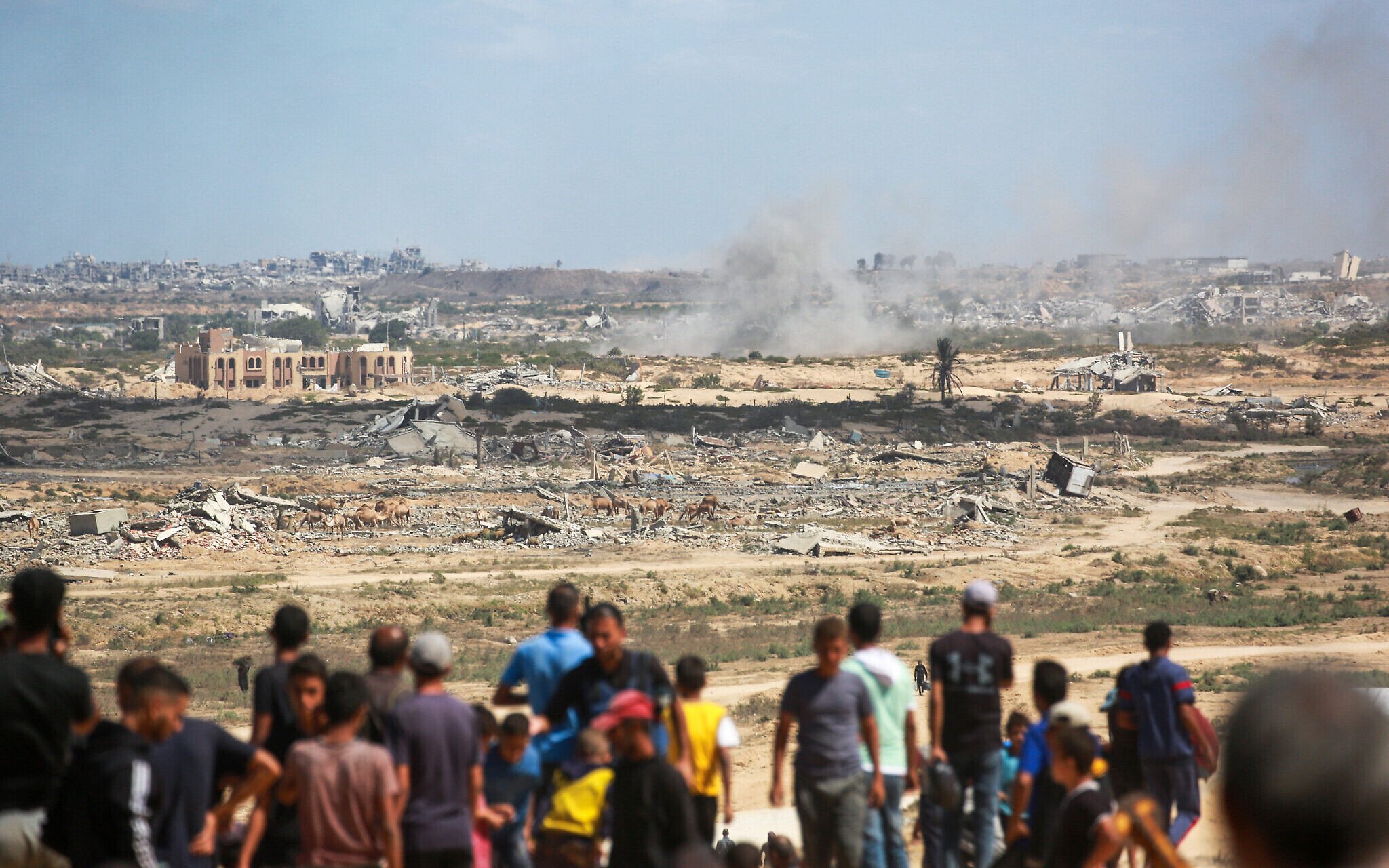 NextImg:Hamas said split on whether to back Trump’s plan to end Gaza war, seeks amendments