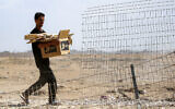 A man carries a cardboard box bearing the Gaza Humanitarian Foundation (GHF) logo and loaded with pieces of wood, as he walks near Nuseirat in the central Gaza Strip, on October 10, 2025. (Eyad BABA / AFP)