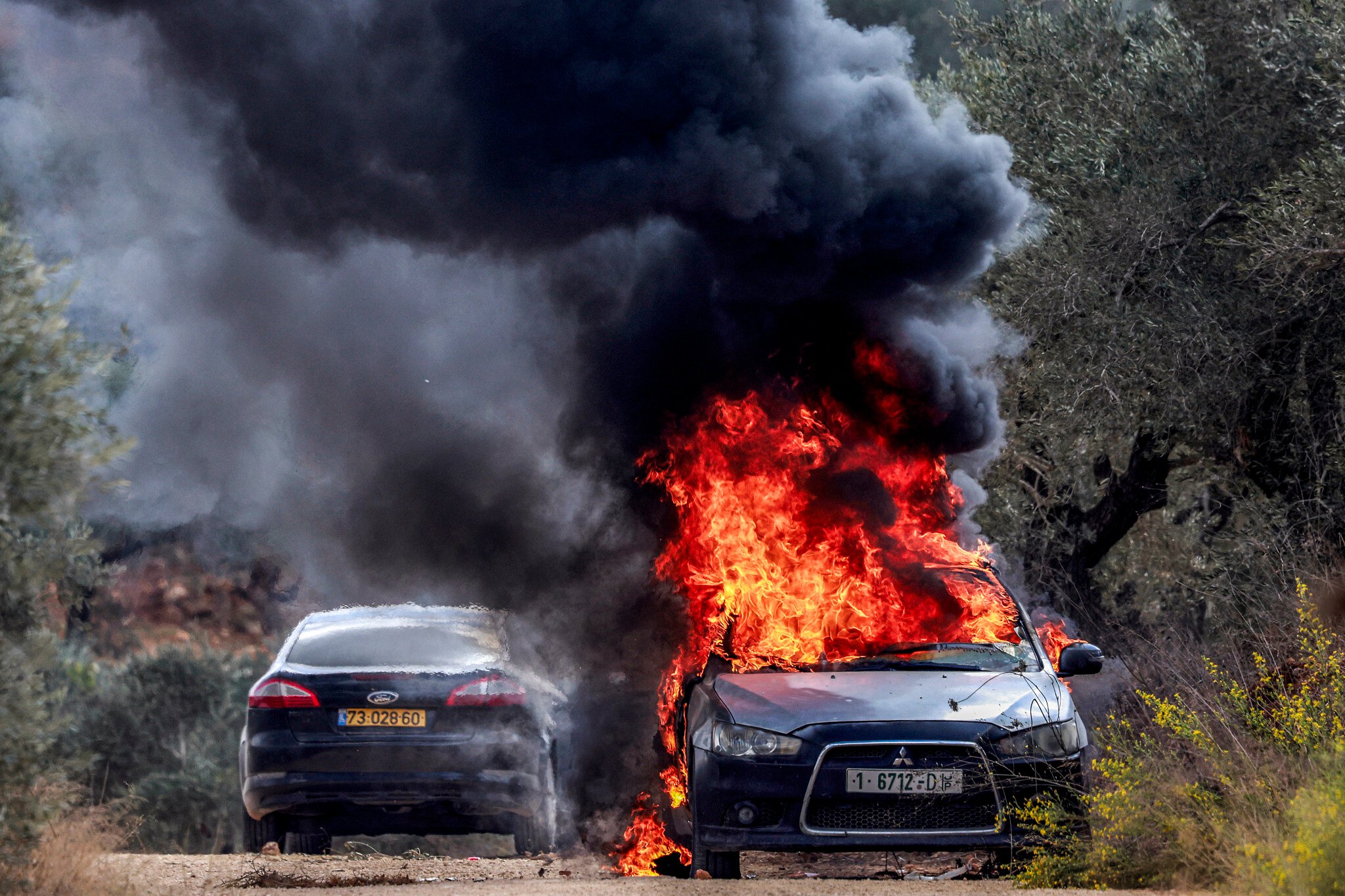 NextImg:AFP photographer injured in settler attack during West Bank olive harvest