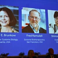 A screen showing the photos of Mary E Brunkow, Fred Ramsdell and Shimon Sakaguchi  who were awarded the Nobel Prize in Medicine or Physiology, at the Nobel Assembly of the Karolinska Institutet, in Stockholm, Sweden, on October 6, 2025. (Claudio Bresciani/TT News Agency via AP)