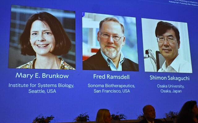 A screen showing the photos of Mary E Brunkow, Fred Ramsdell and Shimon Sakaguchi who were awarded the Nobel Prize in Medicine or Physiology, at the Nobel Assembly of the Karolinska Institutet, in Stockholm, Sweden, on October 6, 2025. (Claudio Bresciani/TT News Agency via AP) A screen showing the photos of Mary E Brunkow, Fred Ramsdell and Shimon Sakaguchi who were awarded the Nobel Prize in Medicine or Physiology, at the Nobel Assembly of the Karolinska Institutet, in Stockholm, Sweden, on October 6, 2025. (Claudio Bresciani/TT News Agency via AP)