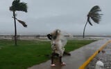 A man walks in Kingston, Jamaica, as Hurricane Melissa approaches, Oct. 28, 2025. (AP/Matias Delacroix)