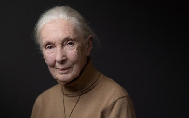British ethologist and primatologist Jane Goodall poses during a photo session on October 18, 2024 in Paris. (Joel Saget / AFP)