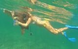 Tal Raz rescues a turtle ensnared in waste fishing tackle in the Mediterranean Sea off the coast of Bat Galim, northern Israel, earlier this year. (Haim Raz)