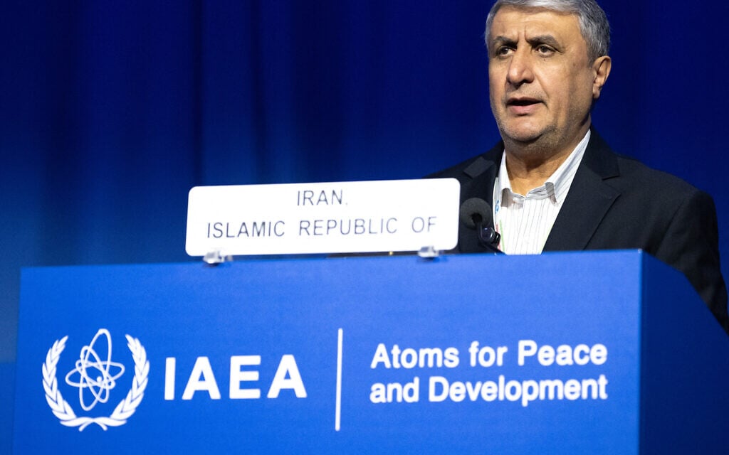 Iran’s nuclear chief not expected to attend IAEA General Conference, official says