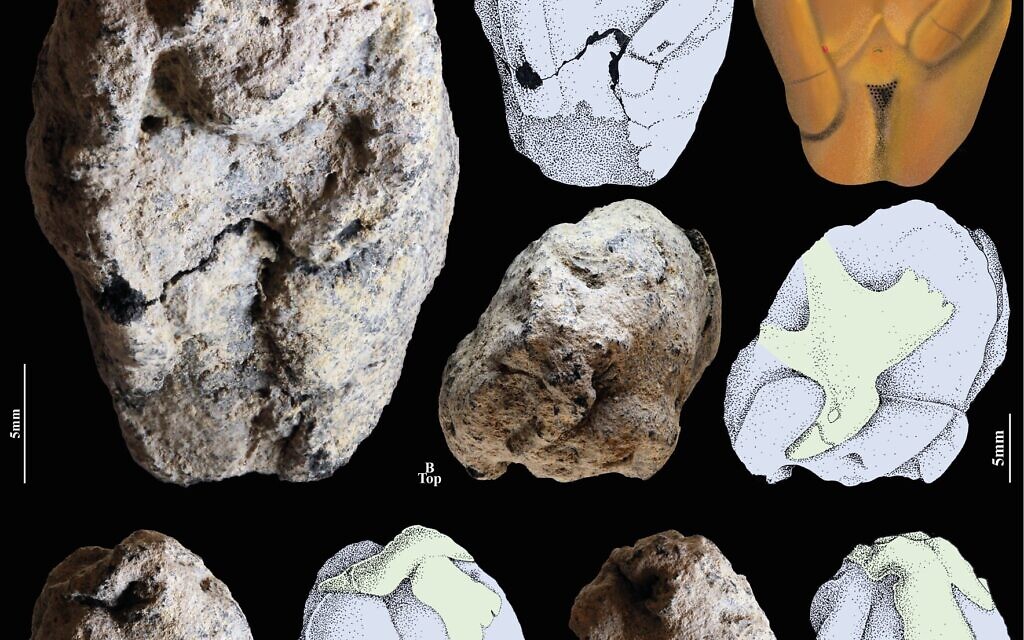 Different views of a 12,000-year-old Natufian clay figurine from Nahal Ein Gev II, near the Sea of Galilee, depicting a woman and a goose, accompanied by some artistic and scientific reconstructions of the scene. Its discovery was announced in a PNAS study on November 17, 2025. (Laurent Davin/Hebrew University)