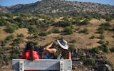 Israelis hike the Yehudiya Forest Nature Reserve and enjoy the Yehudiya waterfall trail featuring cascades and pools down a 400-meter vertical drop, central Golan Heights, October 23, 2025. (Michael Giladi/Flash90)