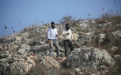 Jewish settlers attack Palestinians during the olive-picking season in the village of Beita, south of Nablus in the West Bank, November 8, 2025. (Nasser Ishtayeh/Flash90)