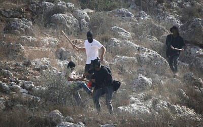Israeli settlers attack journalists during the olive-picking season in the village of Beita, south of Nablus in the West Bank, November 8, 2025. (Nasser Ishtayeh/Flash90)