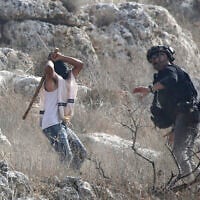An Israeli settler attacks a journalist during the olive-picking season in the village of Beita, south of Nablus in the West Bank, November 8, 2025. (Nasser Ishtayeh/ Flash90)