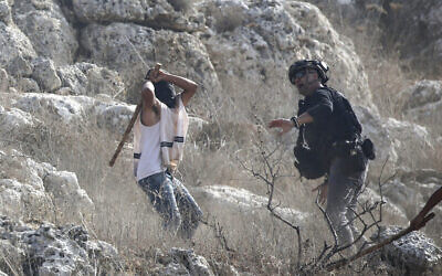 An Israeli settler attacks a journalist during the olive-picking season in the village of Beita, south of Nablus in the West Bank, November 8, 2025. (Nasser Ishtayeh/ Flash90)