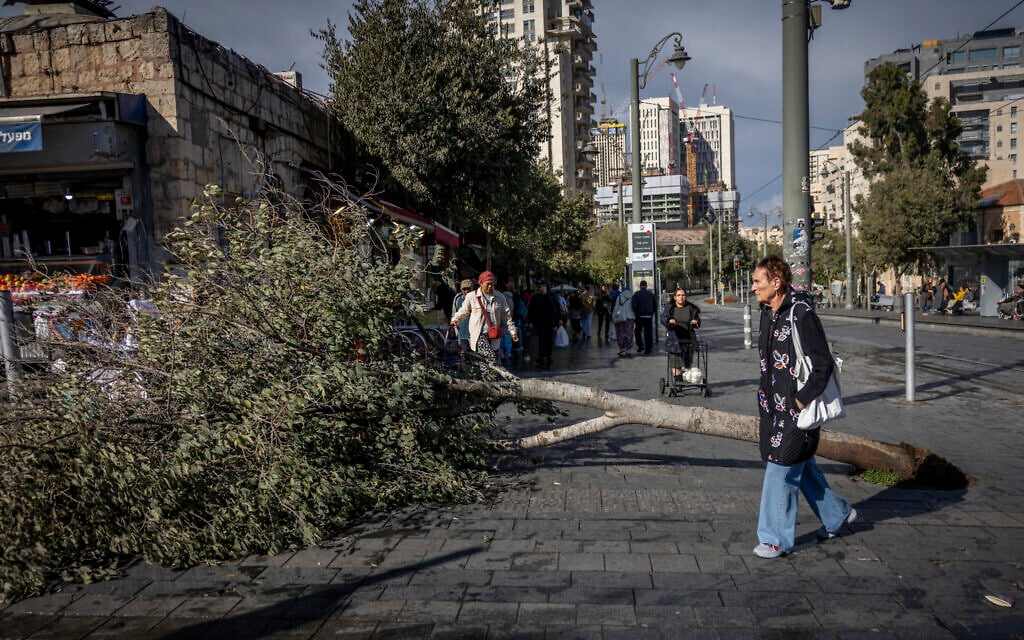 People walk past a tree that fell due to heavy winds outside the Mahane Yehuda market in Jerusalem, November 14, 2025. (Yonatan Sindel/Flash90)