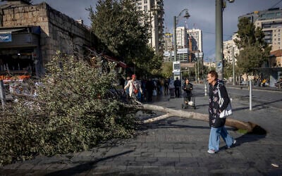 People walk past a tree that fell due to heavy winds outside the Mahane Yehuda market in Jerusalem, November 14, 2025. (Yonatan Sindel/Flash90)