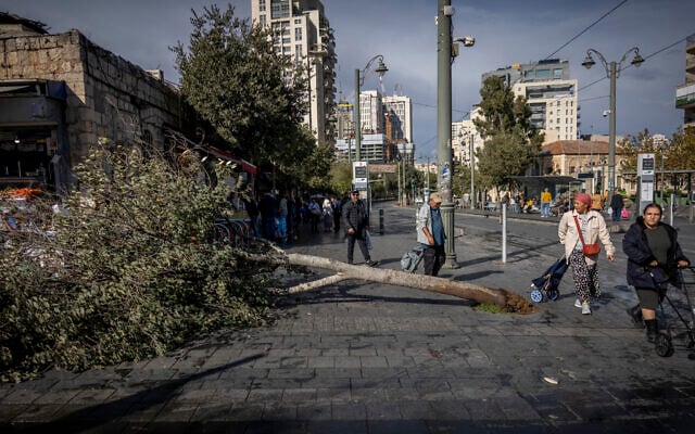 People walk past a tree that fell due to heavy winds outside the Mahane Yehuda market in Jerusalem, November 14, 2025. (Yonatan Sindel/Flash90)