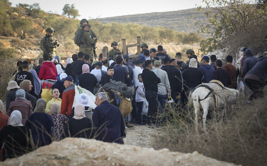 Palestinian farmers wait for the Israeli army to open the agricultural gate near the settlement of Elon Moreh so they can reach their olive groves during the harvest season, in the village of Salem east of Nablus, West Bank, November 22, 2025. (Nasser Ishtayeh/Flash90)