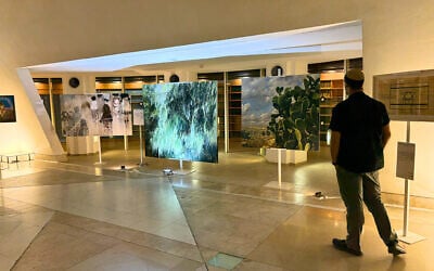 Several of the artworks featured in 'Truth Shall Spring from the Earth,' the new art exhibit that opened November 2, 2025, at the Supreme Court. (Jessica Steinberg/Times of Israel)