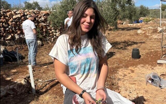 Leila Stillman-Utterback gathers olives during a harvest in the West Bank in the fall of 2025. (Courtesy Stillman-Utterback)