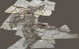 160 million-year-old Anchiornis fossils. (Tel Aviv University)