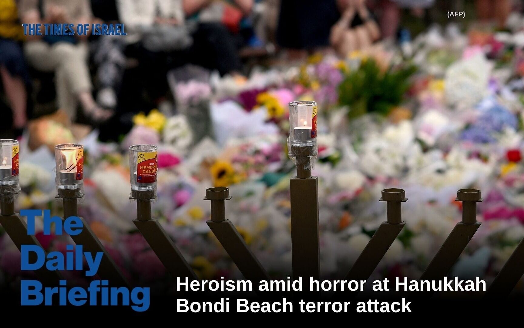 Daily Briefing Dec. 16: Day 802 – Heroism amid horror at Hanukkah Bondi terror attack