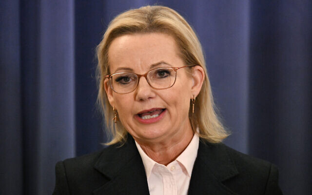 Australian Opposition Leader Sussan Ley speaks at a press conference at Parliament House in Canberra on May 13, 2025. (Saeed Khan / AFP) Australian Opposition Leader Sussan Ley speaks at a press conference at Parliament House in Canberra on May 13, 2025. (Saeed Khan / AFP)