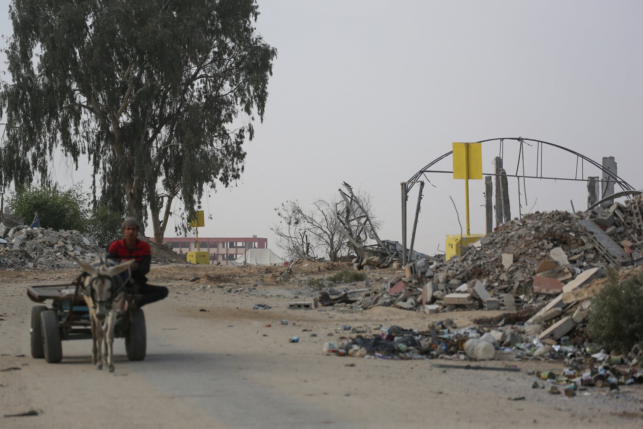 Turkish, Egyptian FMs say Israel breaching ceasefire daily; Ankara urges US to step in