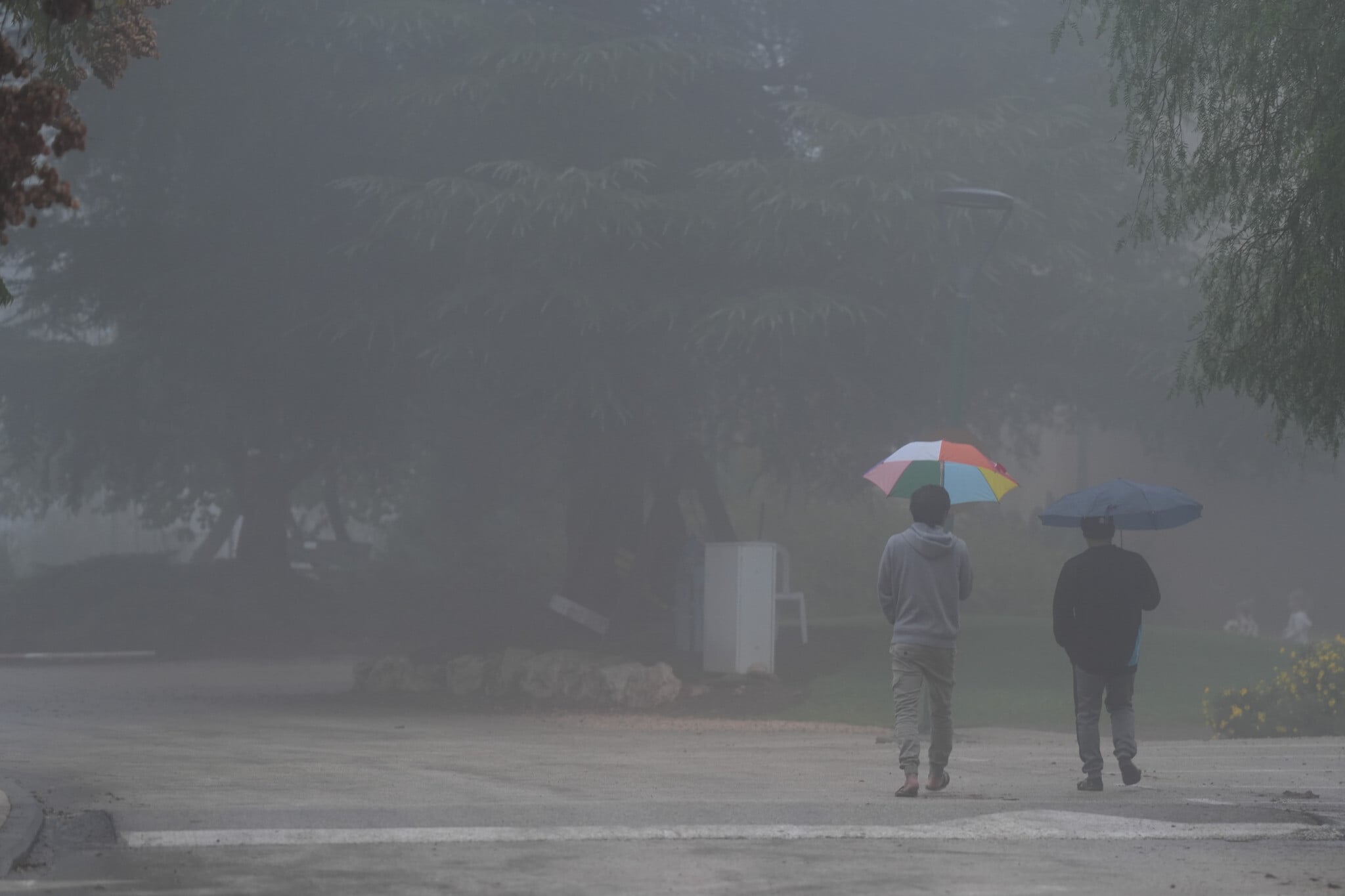 IDF goes into lockdown, limits activities as Storm Byron washes over Israel