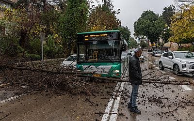 A bus is stopped as a tree collapses onto a road due to heavy winds and rain in Jerusalem, December 29, 2025. (Yonatan Sindel/Flash90)