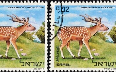 Licensed by Israel Story from Dragan Ilic at Dreamstime.com