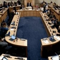 Members of the Dublin City Council sit in the council chambers during the December 1, 2025, meeting in which the proposal to rename Herzog Park was sent back to the naming committee. (Screenshot from webcast via JTA)