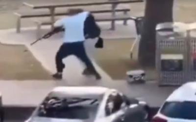 Screengrab of Ahmed al Ahmed, 43-year-old fruit store owner, wrestling the weapon from one of the two gunmen who attacked a Hanukkah event at Sydney's Bondi Beach, December 14, 2025. (Footage from X, used in accordance with clause 27a of the copyright law) Screengrab of Ahmed al Ahmed, 43-year-old fruit store owner, wrestling the weapon from one of the two gunmen who attacked a Hanukkah event at Sydney's Bondi Beach, December 14, 2025. (Footage from X, used in accordance with clause 27a of the copyright law)