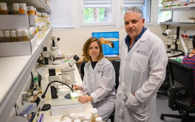 Tslil Braun, PhD, Department of Molecular Genetics at Weizmann Institute of Science (left) with Prof. Eli  Arama. Braun is holding a paintbrush used to observe the flies while they are anesthetized on the work surface. (Courtesy/Weizmann Institute of Science)