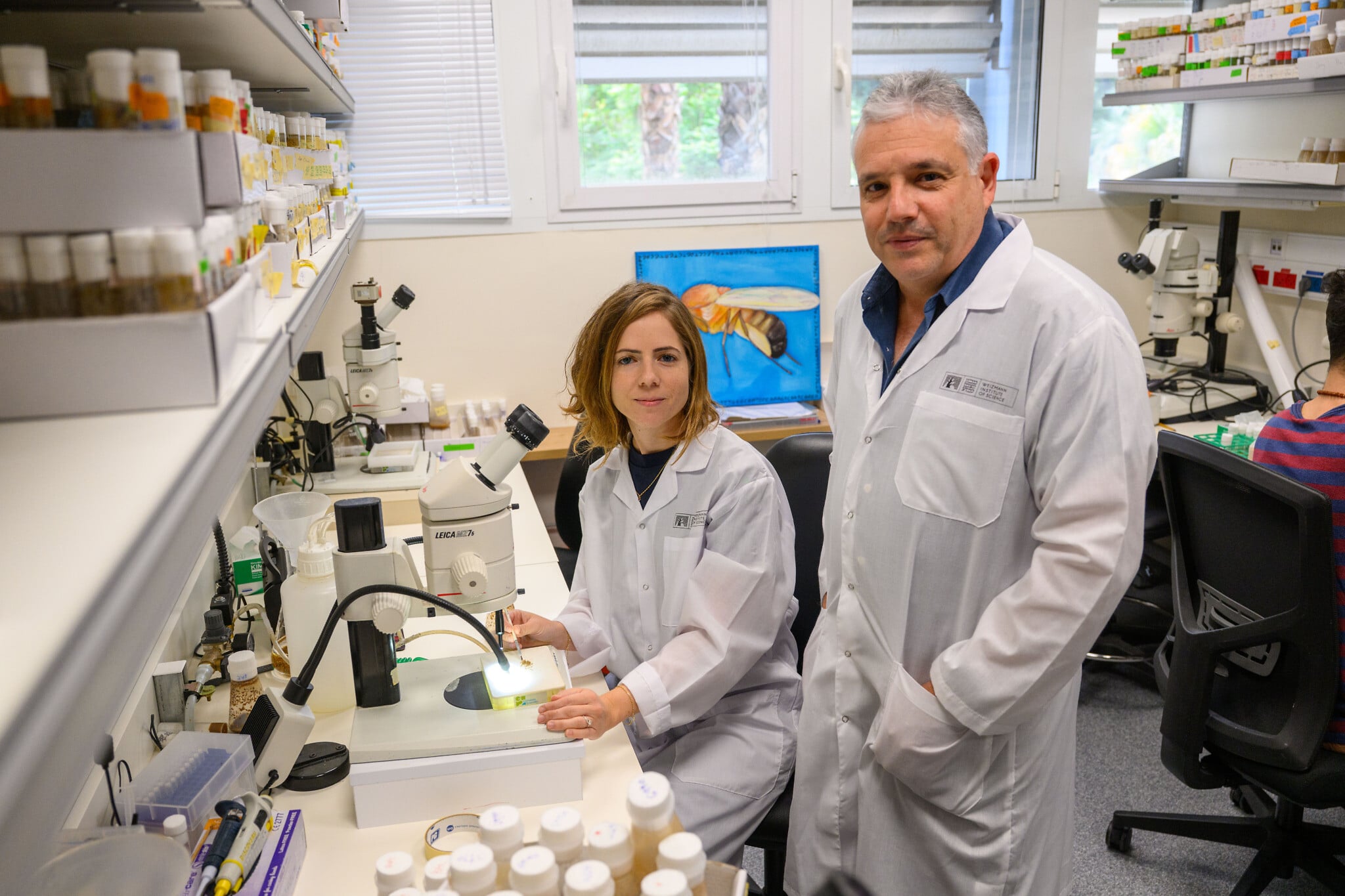 Fruit fly study, almost wrecked by Iran, claims to uncover key to radiation-defying cells