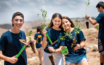 Illustrative: American students plant trees in Israel with JNF-USA. (Mruwka Photography)