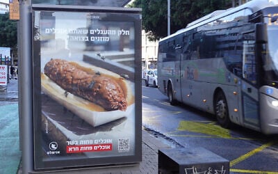 A poster on a bus stop in Tel Aviv explains that some calves are fed with feces. (Courtesy of Animals Now)