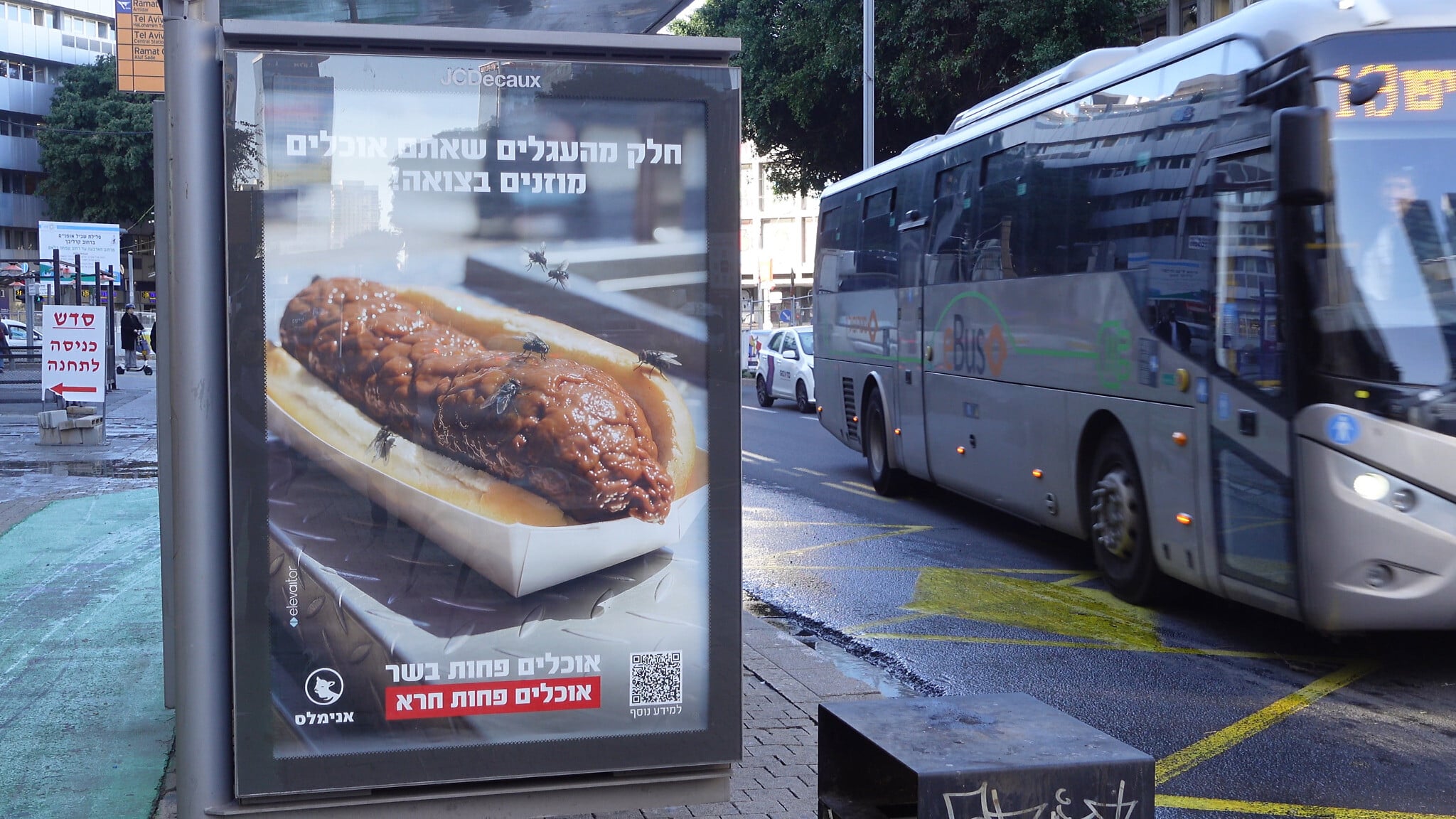 Banned elsewhere in the West, Israel permitting farmers to use feces as cattle feed