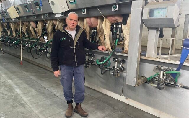 Avi Fraiman, the CEO of Kibbutz Alumim's dairy in southern Israel, January 13, 2026. (Sue Surkes/Times of Israel)