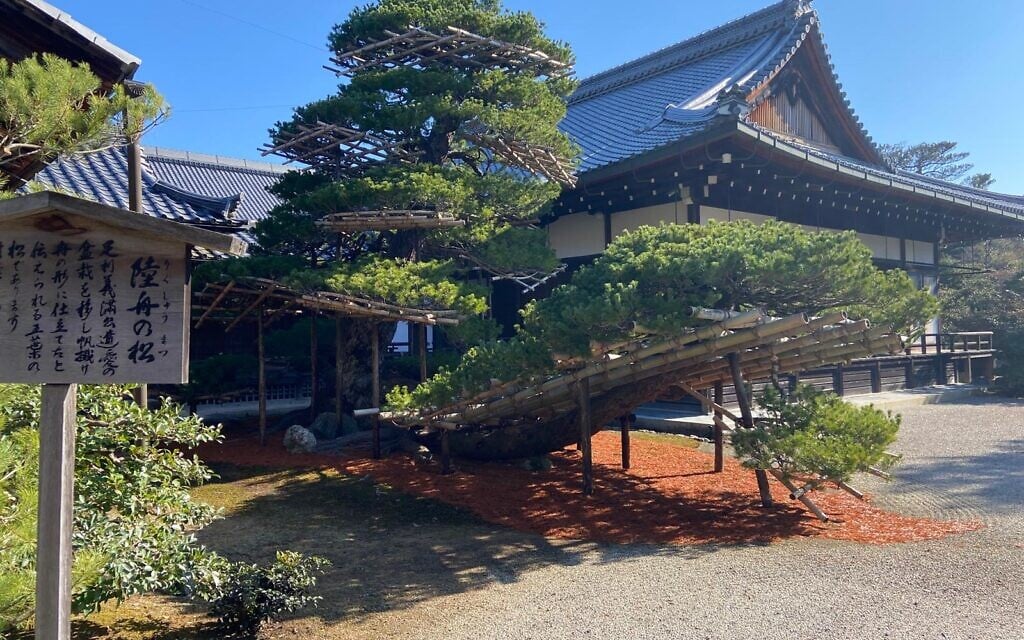 Staring at rocks and glowing ducks on the other side of the planet