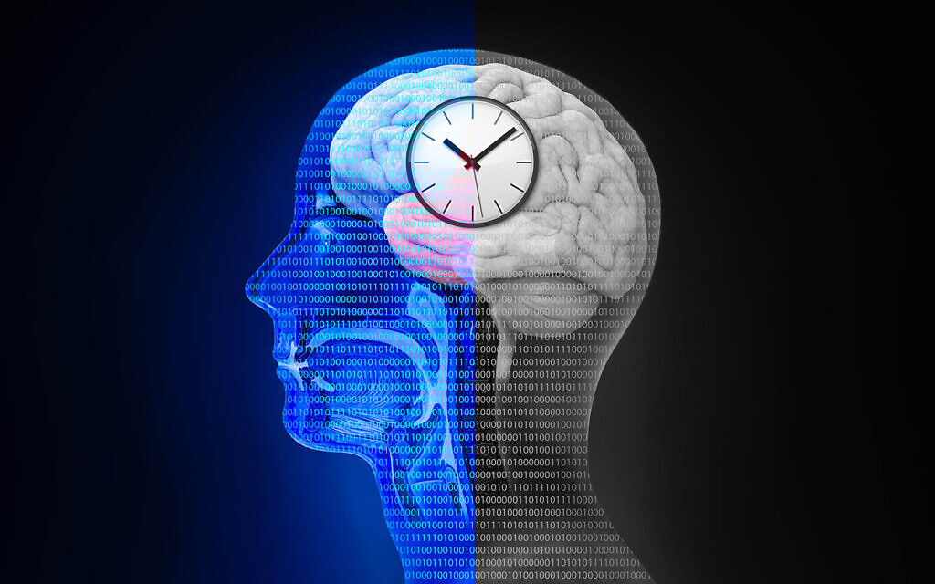 New study shows that female sex hormones can impact the body’s inner clocks