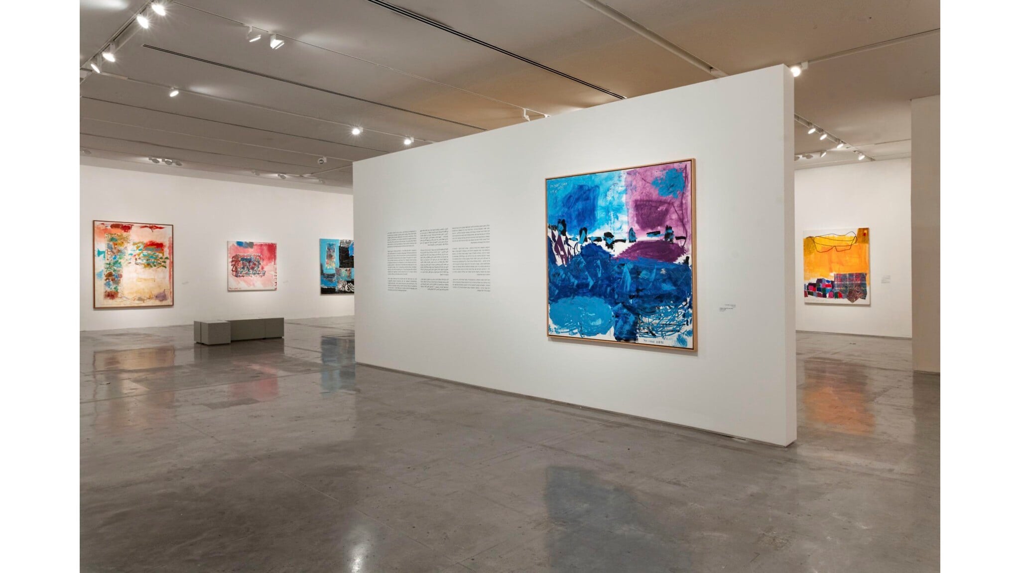 Israel Museum celebrates 60 with towering art, color-drenched