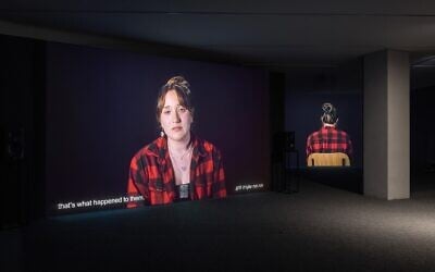 From 'Observation / The Field Observers of the Gaza Sector: A Video Installation' by Talya Lavie at the Tel Aviv Museum of Art through April 11, 2026 (Elad Sarig)