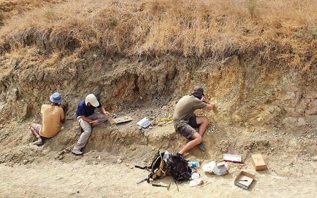 Excavations at the prehistoric site of ‘Ubeidiya in the Jordan Valley, south of the Sea of Galilee, in images shared in April 2024. (Emil Aladjem/Israel Antiquities Authority)
