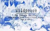 Screen capture from video of U2's song 'Wildpeace,' from the album 'Days of Ash,' that features lyrics by Israeli poet Yehuda Amichai. (YouTube)