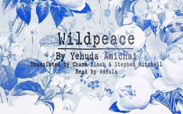 Screen capture from video of U2's song 'Wildpeace,' from the album 'Days of Ash,' that features lyrics by Israeli poet Yehuda Amichai. (YouTube) Screen capture from video of U2's song 'Wildpeace,' from the album 'Days of Ash,' that features lyrics by Israeli poet Yehuda Amichai. (YouTube)