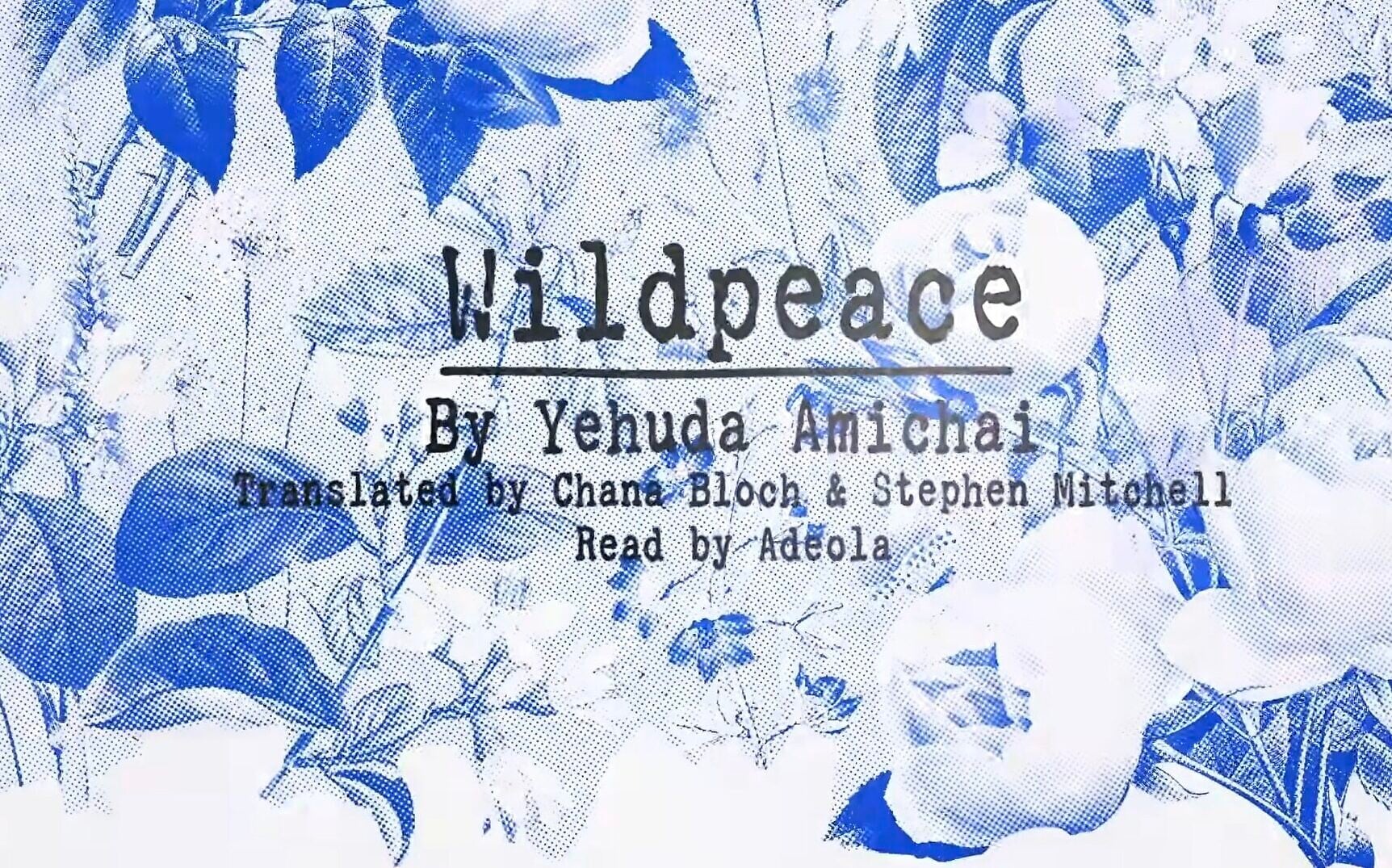 U2’s new EP features Yehuda Amichai poem, memorializes slain Palestinian activist